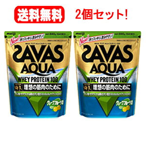 yI2ZbgzyzUoXANAzGCveC100O[vt[c800g(40H)×2