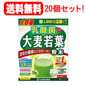 【送料無料！20個セット！】【山本漢方製薬】　乳酸菌大麦若葉粉末スティックタイプ　4g×60包入　【おいしい青汁】【1ケース】【20個セット!!】