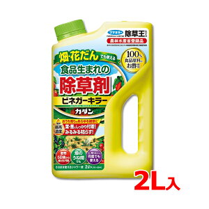 t}L[ Hi܂ rlK[ L[ 2L J_  Ԓd | | G _ѐYȓo^i