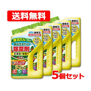 t}L[ Hi܂ rlK[ L[ 2L ×5Zbg   Ԓd | | G J_ _ѐYȓo^i