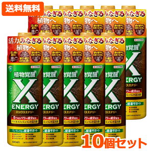 �y���������E10�Z�b�g�z�y KINCHO���| �z X-ENERGY �G�b�N�X�G�i�W�[ 600ml×10�Z�b�g�o�C�I�X�e�B�~�������g���͉t �y �L���`���[ �� ��� �n�[�u �ϗt�A�� ���͉t