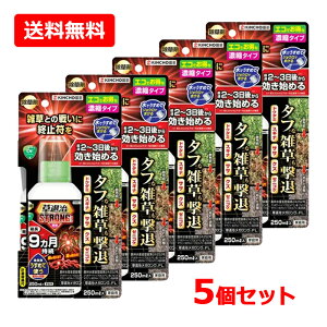 �y���������E5�Z�b�g�z�yKINCHO���|�z���ގ��X�g�����O�V���[�Y �Z�k�^�C�v 250ml×5�Z�b�g���ގ����K�����OFL �G�� ������ ���L�^�C�v �h�N�_�~ �X�M�i �T�T �N�Y �[�j�S�P