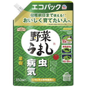 A[X A[XK[f ؂܂GRpbN (850ml)