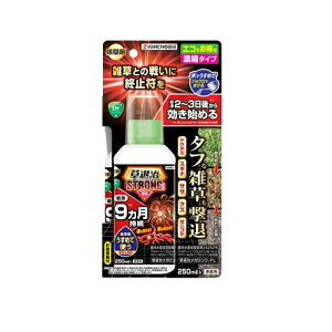 6/1����I�ő�100��P�o�b�N���S�iP2�{�I�����400�~OFF�N�[�|��!�yKINCHO���|�z���ގ��X�g�����O�V���[�Y �Z�k�^�C�v 250ml���ގ����K�����OFL �G�� ������ ���L�^�C�v �h�N�_�~ �X�M�i �T�T �N�Y 