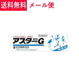 【第2類医薬品】【メール便！送料無料】【丹平製薬】アスターG軟膏16g【kkn】