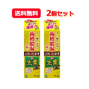 yI2ZbgIzyѐztEXi傤悤EXj100g×2Zbg