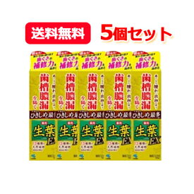 4/25限定！最大1,000円OFFクーポン！＆全品2％OFFクーポン！【送料無料！5個セット！】【小林製薬】生葉EX（しょうようEX）100g×5個セット