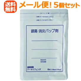 【第3類医薬品】【5個セット！メール便】クールリフェンダ　6枚×5セット（株）タカミツ【5個セット!!】