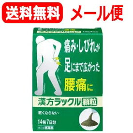 楽天市場 日本臓器製薬の通販
