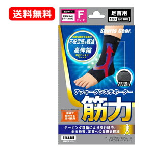 yE[ցz eR[|[VX|[cMA AtH[_XT|[^[ؗ p t[TCY 1Ep T|[^[ Lk ҂ tBbg e[sO ֐߃T|