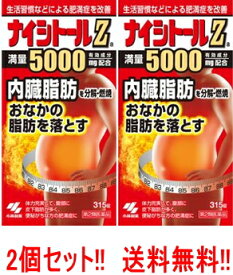 楽天市場 ナイシトール 女性の通販