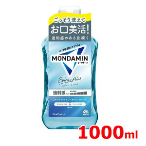 y _~ z XpCV[~g }EXEHbV 1000mL h LPAI[PA f^X tVR~gIC MONDAMIN A[X