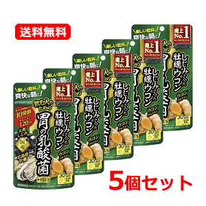 10/25限定!最大100%Pバック&全品2%OFFクーポン!【送料無料・メール便・5個セット】井藤漢方 しじみの入った牡蠣ウコン胃の乳酸菌PLUS 90粒 30日分×5セット乳酸菌プラス しじみ 牡蠣 ウコン サ