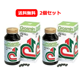 【あす楽対応！】【送料無料　2個セット】　【クロレラ工業】グロスミン　2000粒×2個 2000錠