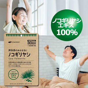 �m�R�M�����V 1��������320mg�z��! �G�i�W�[ �m�R�M�����V 30�����i1��1�� 1�������j �\�t�g�J�v�Z�� �T�v�������g �m�R�M�����V�G�L�X100���y����2026�N2���z