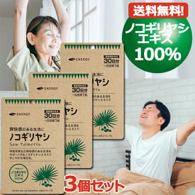 6/5限定！最大100％ポイントバック＆最大1,000円OFFクーポン！さらに全品2％OFFクーポン！メール便 送料無料 ノコギリヤシ 1粒あたり320mg配合! エナジー ノコギリヤシ 30粒入（1日1粒 1ヶ月分）×3個セット ソフトカプセル サプリメント ノコギリヤシエキス100％