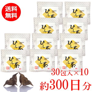 yE10Zbgz11,600~ qV̎100 Ђ 2g×30 (60g)×10 300@NtďC@ސ |tFm[ r^~C r^~B2 JVE SܗL hishitea Y 