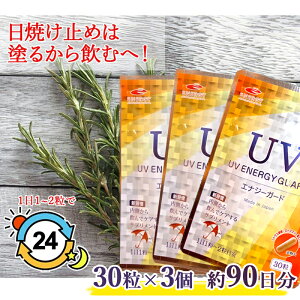 y[  3ZbgzUV ENERGY GUARD@UVGiW[K[h 30 j[gbNXT 250mgz Tvg O UV UV K[h UVPA Ă  P  eTv