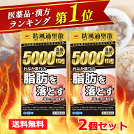 7/10限定！最大100％Pバックさらに全品2％OFFクーポン!【第2類医薬品】【送料無料・2個セット】エナジー …