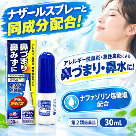 【第2類医薬品】エナジー点鼻薬　30ml　花粉症薬 花粉症 薬 ナファゾリン塩酸塩 点鼻薬 くしゃみ 鼻みず 鼻づまり 急性鼻炎 鼻水 アレルギー性鼻炎 副鼻腔炎 ナザール　スプレー　ジェネリック