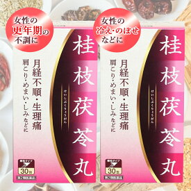【第2類医薬品】【送料無料・2個セット】エナジー 桂枝茯苓丸料エキス顆粒　(ケイシブクリョウガンリョウ)　1.5g×30包×2個【20日分】 けいしぶくりょうがん 月経不順 生理痛 肩こり めまい しみ フェムケア
