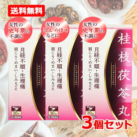 【第2類医薬品】【送料無料・3個セット・1ヶ月分】エナジー　桂枝茯苓丸料エキス顆粒　(ケイシブクリョウガンリョウ)　1.5g×30包×3個【合計30日分】1か月分　けいしぶくりょうがん 月経不順 生理痛 肩こり めまい しみ フェムケア