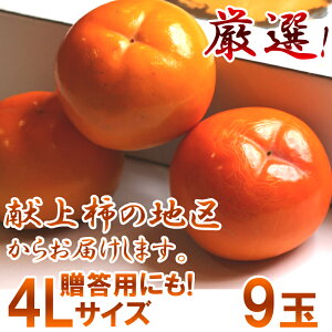 ő400~OFFN[|I11/7 9:59܂ŁyE\tE11{\zߘa7NY ÌRY@IIʉÂ݂炸`@y@4LTCY@9ʁ@a8cmȏzci̎Y