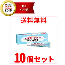楽天市場 フルコートf 10g 10個の通販