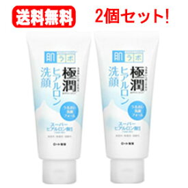 送料無料！2個セット！ ロート製薬　肌研（ハダラボ極潤ヒアルロン洗顔フォーム　100g