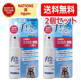 【送料無料・メール便・2個セット】【健栄製薬】手ピカスプレー　MINI 25ml【指定医薬部外品】【ケンエー】