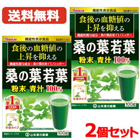 【メール便・送料無料・2個セット】山本漢方　桑の葉粉末　100g×2セット　機能性表示食品　届出番号I333
