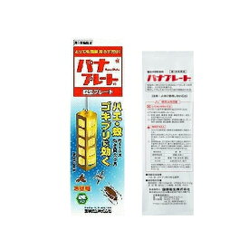 【第1類医薬品】パナプレートLW120g×2枚入　国際衛生株式会社■　要メール確認　■薬剤師の確認後の発送となります。何卒ご了承ください。