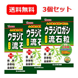 [  3Zbg yR{zEWKVΗij240×3炶낪 3Zbg