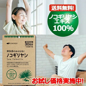 �y���������l�R�|�X�ցz ���[���� �m�R�M�����V 1��������320mg�z��! �G�i�W�[ �m�R�M�����V 30�����i1��1�� 1�������j �\�t�g�J�v�Z�� �T�v�������g �m�R�M�����V�G�L�X100�� �y����2026�N2���z