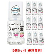 【10個セット!!】【送料無料!!】【健栄製薬】ケンエー　のどスッキリうがい薬CPピーチ味　300ml×10個セ…