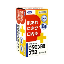 【第3類医薬品】　ビタミンBBプラス「クニヒロ」250錠【皇漢堂】