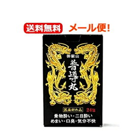 8/5限定！最大100%Pバック＆最大1,000円OFFクーポン!さらに全品2%OFFクーポン！【メール便！送料無料】【日野製薬】御嶽山普導丸（ふどうがん）20粒×24包　黒パッケージ【医薬部外品】