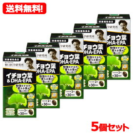 【送料無料！ 5個セット】【野口医学研究所】イチョウ葉＆DHA・EPA（510mg×60粒）約30日分×5個　【栄養補助食品】