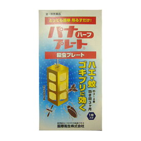 【第1類医薬品】　パナプレートハーフ60g×1枚入　国際衛生株式会社■　要メール確認　■薬剤師の確認後の発送となります。何卒ご了承ください。