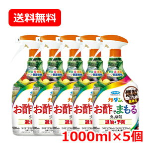 t}L[ J_ |ł܂i1000mLjK[fjO ϗtA ƒ؉ 5Zbg