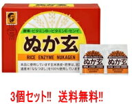 【送料無料！お得な3個セット！】【健康補助食品】【健康フーズ（杉食）】ぬか玄(粉末)200g(2.5g×80包)…