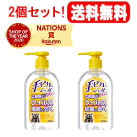 5/10限定！最大100％Pバック＆最大1,000円OFFクーポン＆全品2％OFFクーポン【指定医薬部外品】【健栄製薬】【送料無料！2個セット！】手ピカジェルプラス300ml×2セット