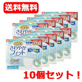 【レック】さわやかフィットマスクふつうサイズ　60枚入り【10個セット！】