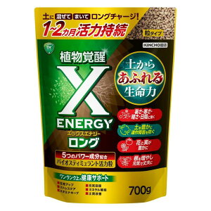 �s KINCHO���| �t X-ENERGY �����O ���^�C�v 700g �y �L���`���[