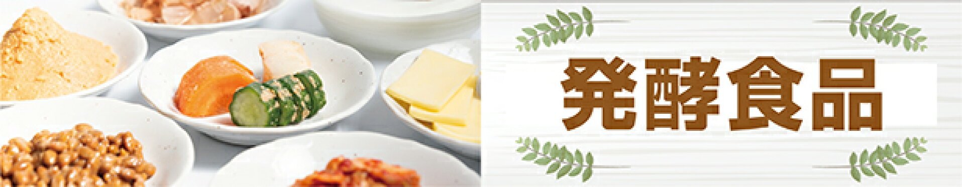 スマホ用バナー発酵食品