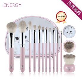 ★送料無料 ★AINOCHIメイクブラシ12本セットーラグドールシリーズ 化粧筆 メイクブラシセット メイク道具 ブラシポーチ付き 説明書付き メイク　ブラシ　贈り物