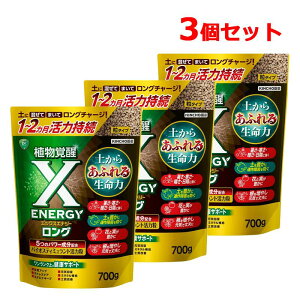 �s KINCHO���| �t X-ENERGY �����O ���^�C�v 700g×3�Z�b�g �y �L���`���[