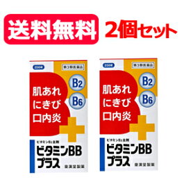 【送料無料！2個セット！】【第3類医薬品】ビタミンBBプラス　「クニヒロ」　250錠×2【皇漢堂】