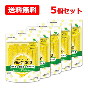 yz 䓡 _ЂƂCPA^ VitaC1000r^~C Tvg 15×5Zbgx ^ |\[ ^CvȂň߂  N⏕Hi