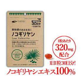 ノコギリヤシ 1粒あたり320mg配合! エナジー ノコギリヤシ 30粒入（1日1粒 1ヶ月分） ソフトカプセル サプリメント ノコギリヤシエキス100％【期限2026年2月】